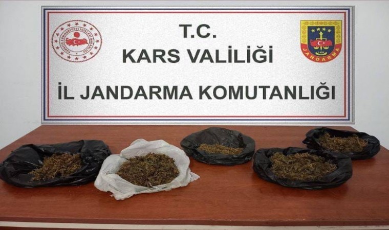 Karsta 700 gram bonzai ele geçirildi