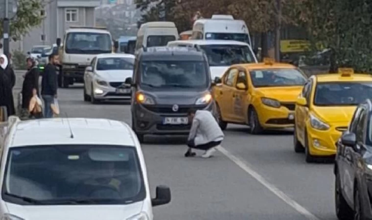 Kartal’da trafiği durdurdu; yavru kediyi ezilmekten kurtardı