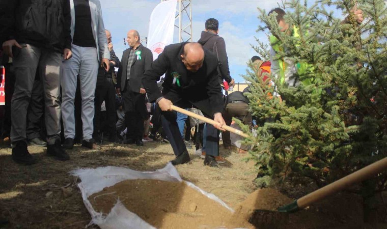 Kastamonuda 25 bin fidan toprakla buluşturuldu