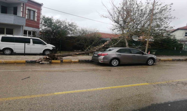 Keşanda şiddetli rüzgar nedeniyle otomobilin üzerine ağaç devrildi