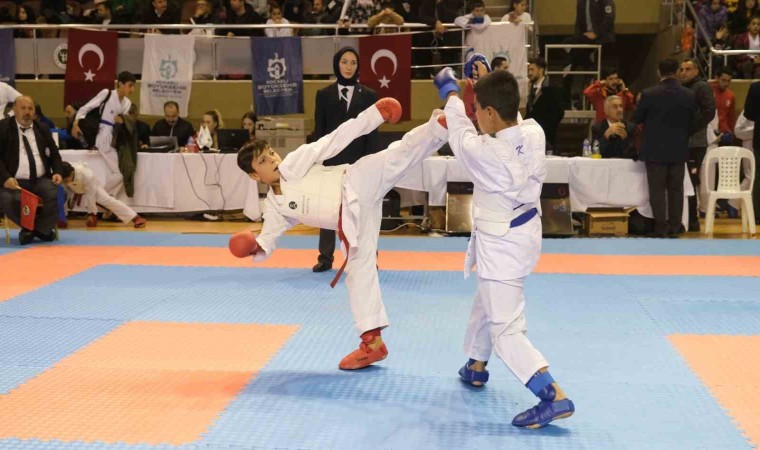 Kocaelide karate coşkusu