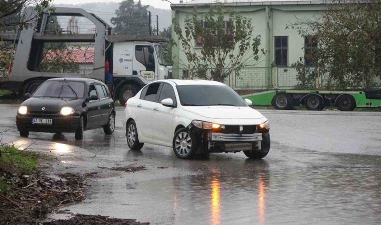 Kocaelide şiddetli rüzgar ağacı kökünden söktü