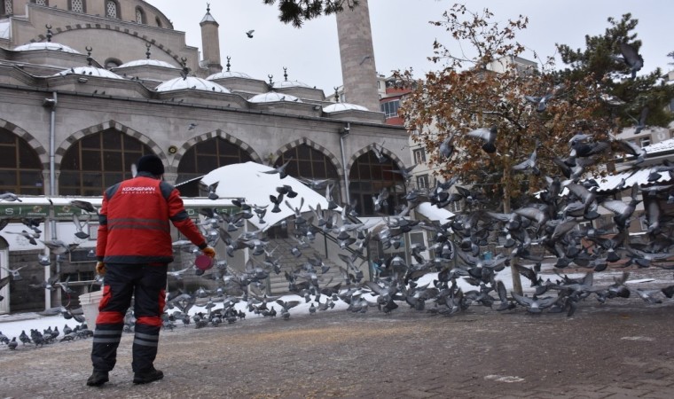 Kocasinandan kış mevsimi boyunca sokak ve yaban hayvanları için 18 ton yem