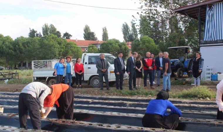 Köyceğizde öğrenciler tarımsal üretime devam ediyor