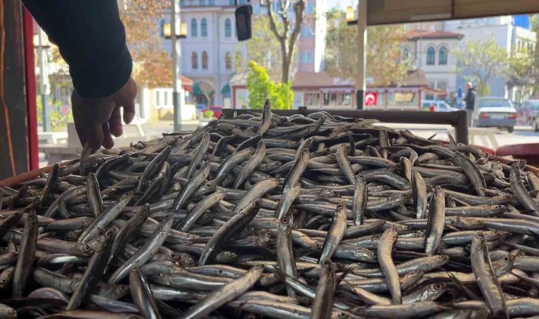 Kulağına kar suyu kaçan hamsiye yoğun talep