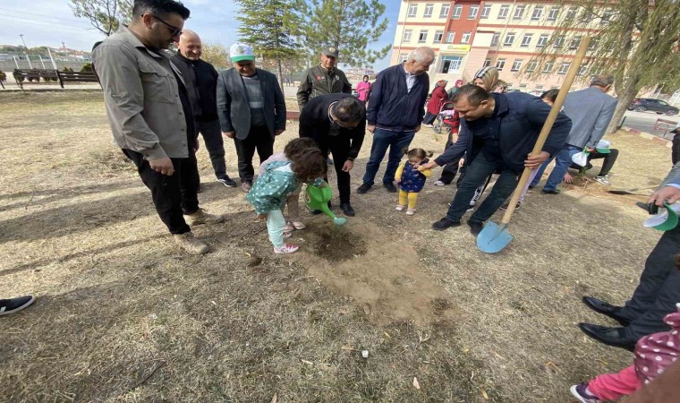 Kuluda fidan dikim etkinliği