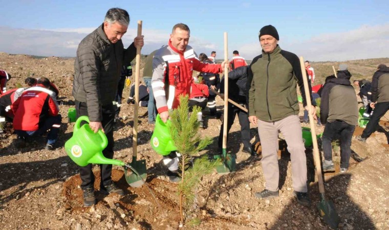 Kütahyada maden sahasına 6 bin fidan dikildi