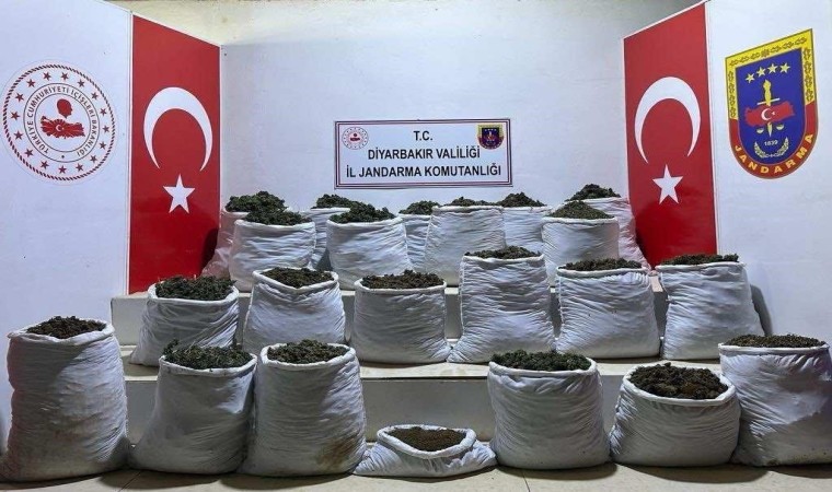 Licede 280 kilo esrar ve 244 bin 500 esrar bitkisi ele geçirildi