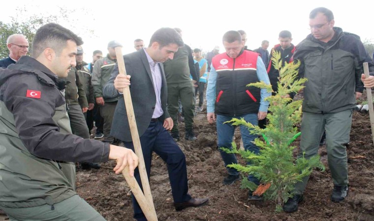 Manyas ilçesinde fidanlar toprakla buluştu