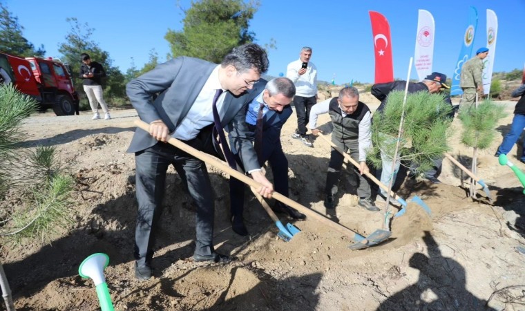 Mehmetçik Hatıra Ormanında binlerce fidan toprakla buluştu