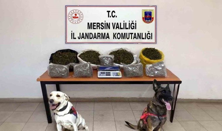 Mersinde uyuşturucu ticareti yapan 4 şüpheli yakalandı