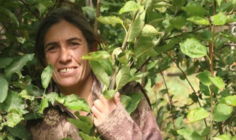 MİT, PKK/KCK Hakurk Toplumsal Alan sözde sorumlularından Tekoşin Cizre kod Arslanı etkisiz hale getirdi