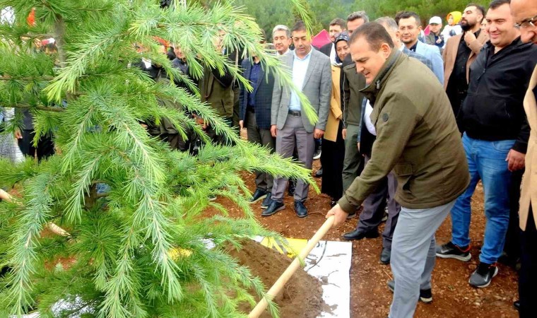 Muğlada 79 noktada 62 bin 236 fidan dikimi gerçekleştirildi