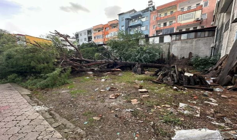 Muğla’da hortum çatıları uçurdu, ağaç ve direkleri devirdi; o anlar kamerada