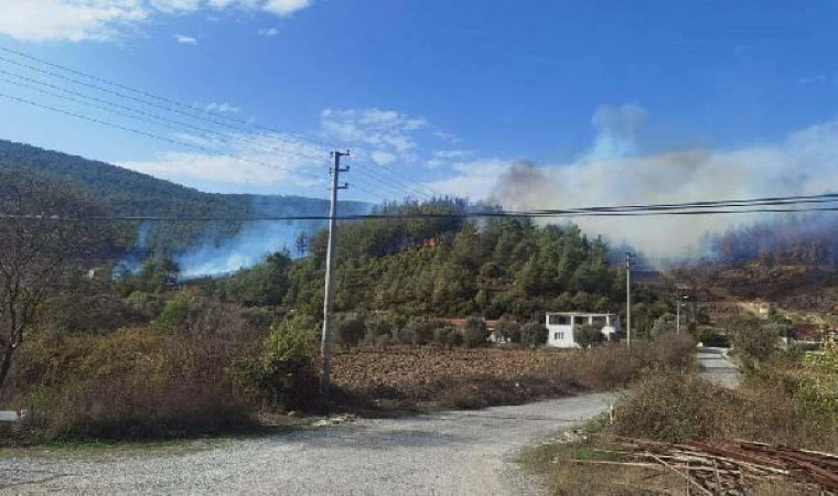 Muğla’da orman yangını