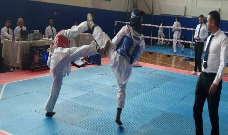 Nazillide Taekwondo rüzgarı