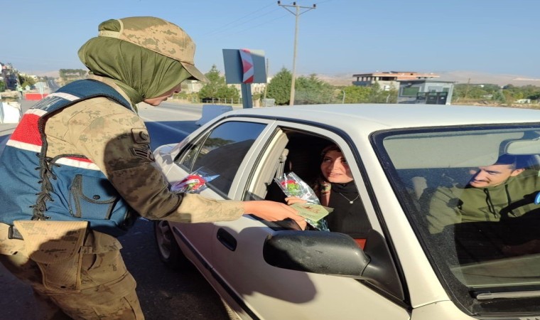 Nusaybinde jandarma ekipleri kadınlara karanfil verdi, KADESi tanıttı