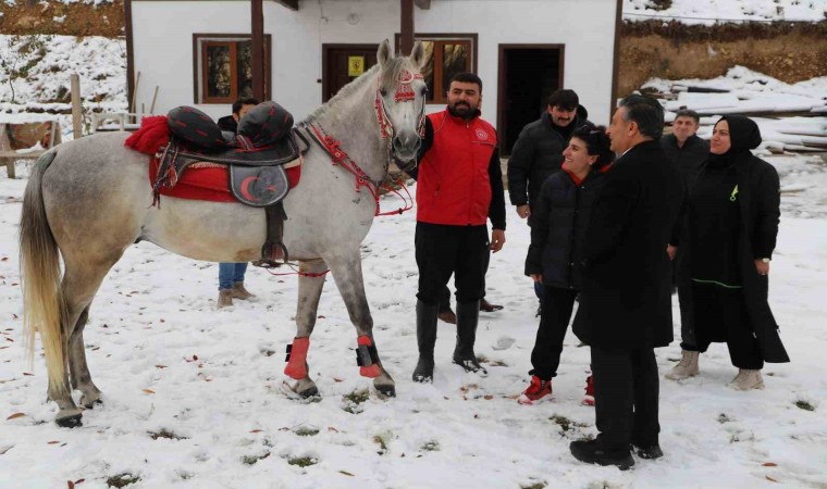 Öğretmenler at çiftliğini ziyaret etti