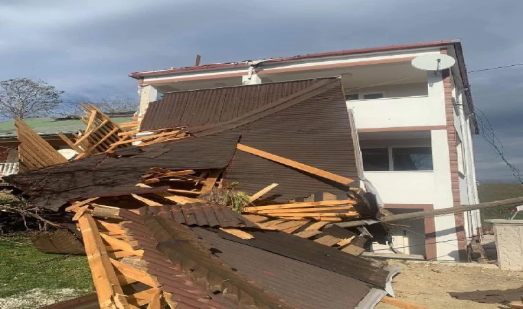 Ordu’da fırtına; ağaçlar devrildi, çatılar uçtu