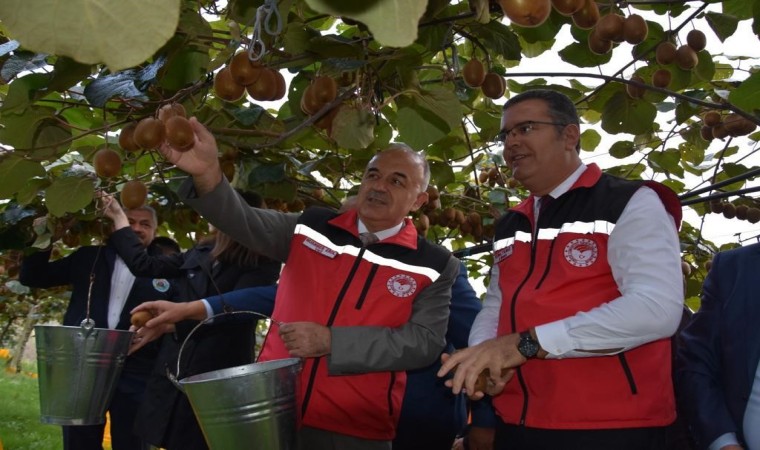 Orduda kivi hasadı başladı