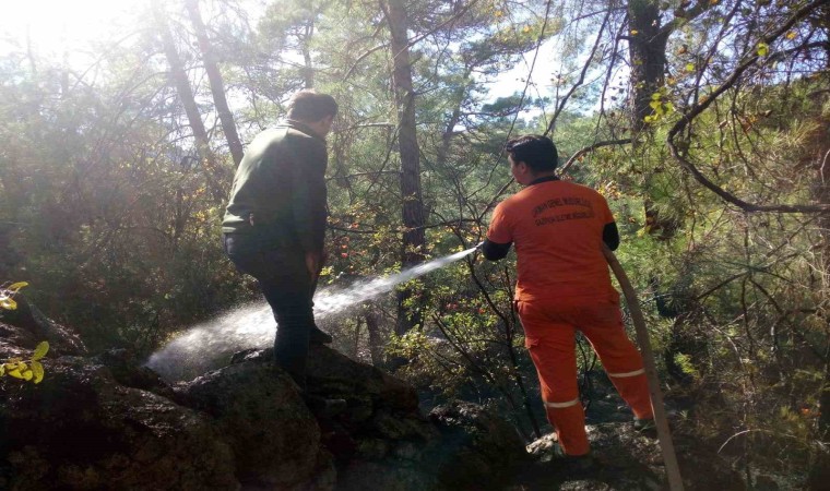 Ormanlık alanda çıkan yangın kontrol altına alındı