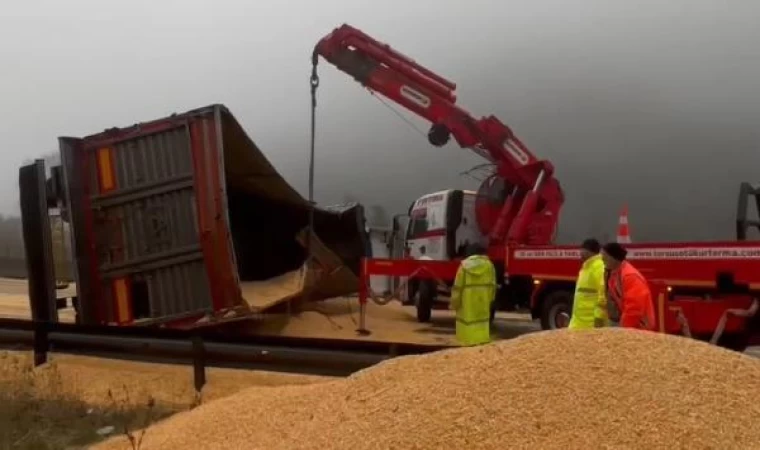 Otoyolda TIR devrildi; tonlarca tahıl yola döküldü