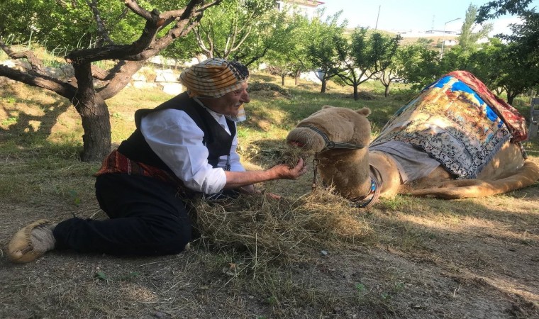 Özel günlerin aranan eğlencesi Geleneksel Deve Oyunu her yaştan insanların ilgisini çekiyor