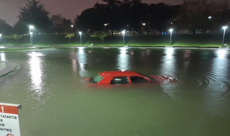 Park halindeki aracını çıkarmak isterken gölete düştü