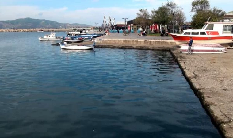 Prof. Dr. Sarı: Marmara Denizi’nin yüzey suyu sıcaklığı hala 20 derece; besin zinciri etkilenebilir