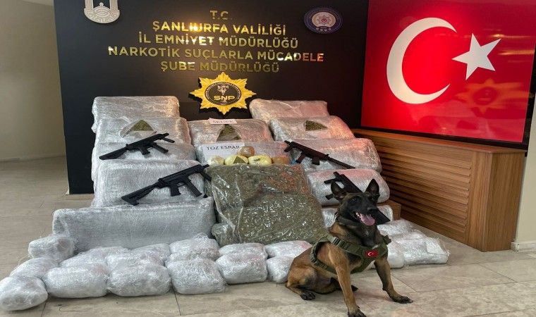 Şanlıurfada 170 kilo 700 gram skunk ele geçirildi