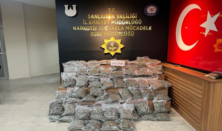 Şanlıurfada 46 kilo 500 gram skunk ele geçirildi