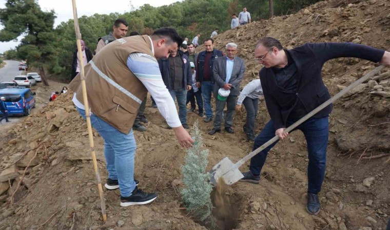 Sarıgölde fidanlar yanan ormanlık alana dikildi