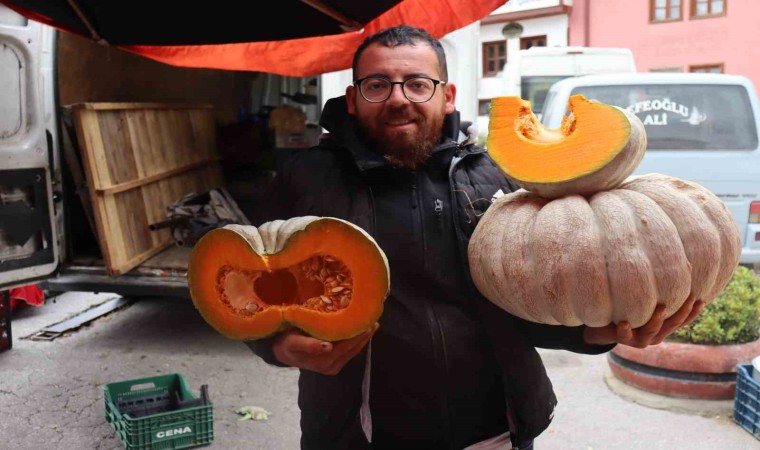 Semt pazarlarının gözdesi kış kabağının tarladan tezgaha yolculuğu başladı