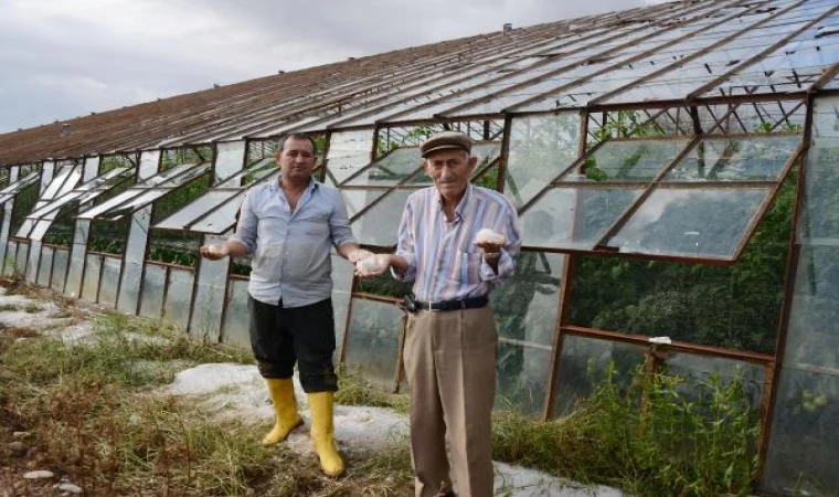 Serik’te dolu seraları vurdu; ürünlere zarar verdi