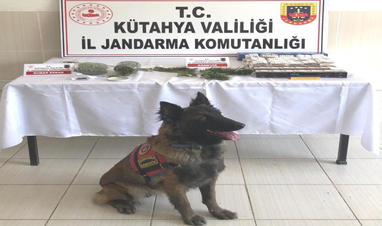 Simavda jandarmanın uyuşturucu ve kaçak sigara operasyonu