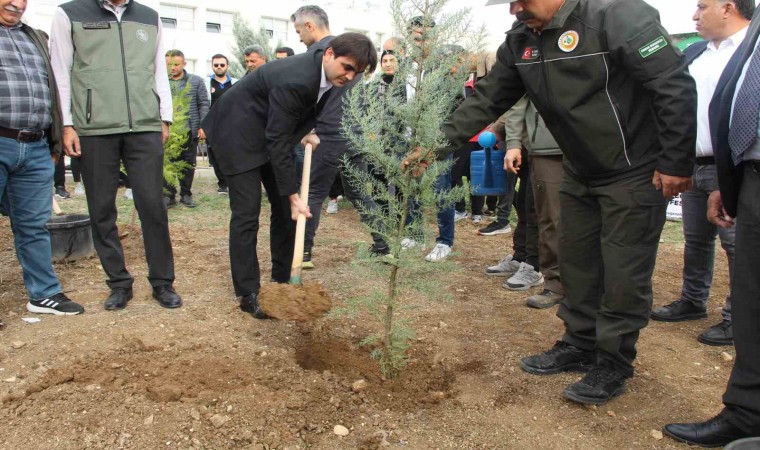 Şırnakta 250 bin fidan toprakla buluşacak