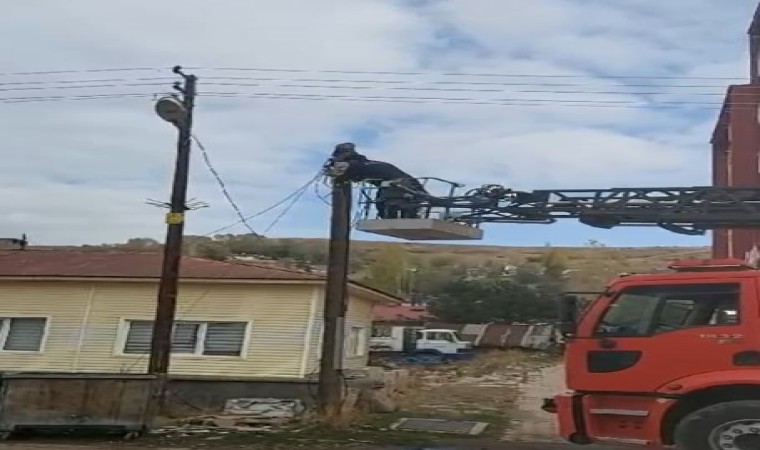 Sivasta İtfaiye ekipleri, yaramaz kedi için seferber oldu