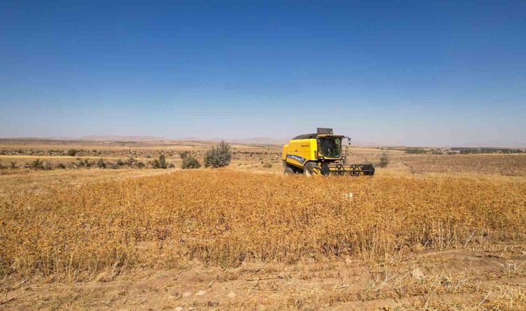 Talasta 2 bin 500 litre aspir yağı alındı