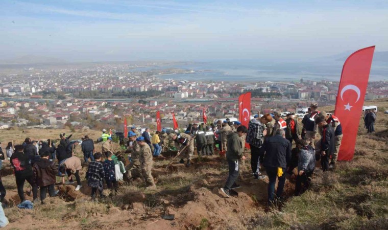 Tatvanda fidanlar toprakla buluştu