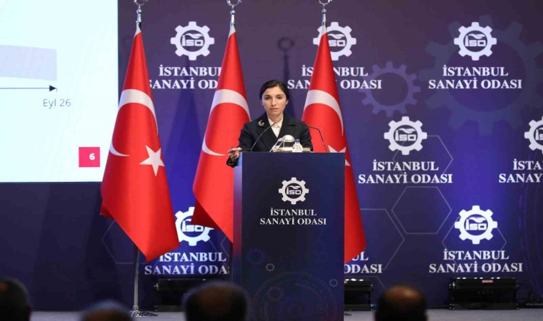 TCMB Başkanı Hafize Gaye Erkan: Türk Lirasına geçiş başlamıştır