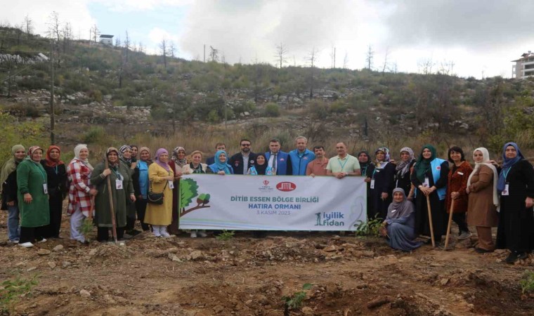 TDV “1 İyilik 1 Fidan” kampanyasıyla yıl sonuna kadar 800 bin fidan dikecek