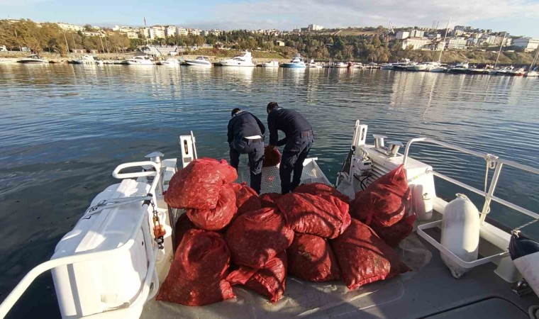 Tekirdağda 1,5 ton karakıllı midye ele geçirildi