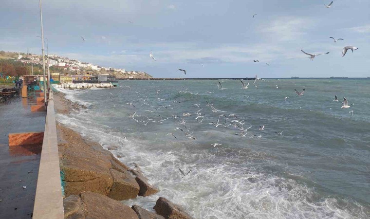 Tekirdağda şiddetli lodos: Deniz çalkalanıyor