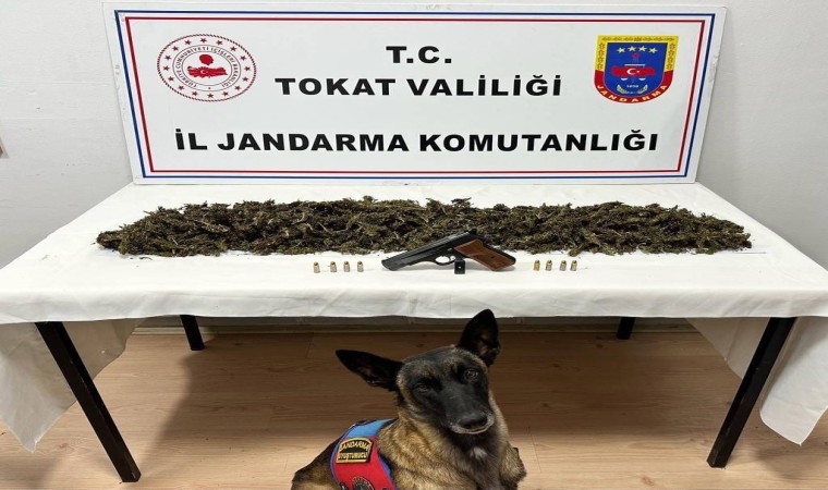 Tokatta bir araçta 2 kilo 300 gram esrar ele geçirildi