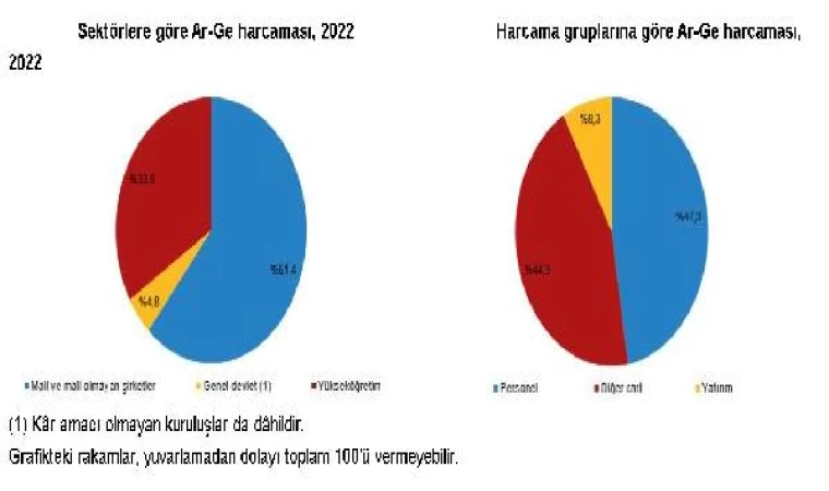 TÜİK: 2022 Ar-Ge harcaması 198,6 milyar oldu