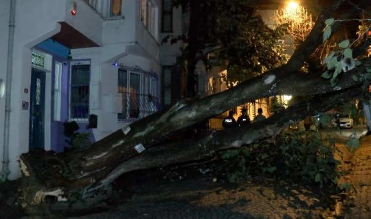 Üsküdar’da evin bahçe duvarına ağaç devrildi