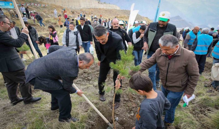 Vali Ali Çelik: Ağaçlar; yağmura ve iyiliğe karşı açılmış bir dua