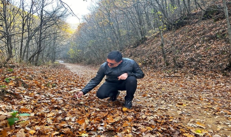 Vali Tekbıyıkoğlu, sonbahar güzelliğine bürünen Salördeki ziyaret etti