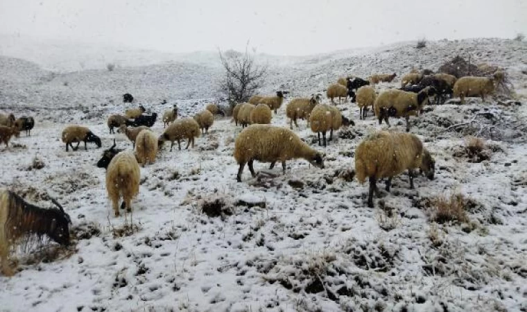 Van ve Hakkari’de kar yağışı (4)