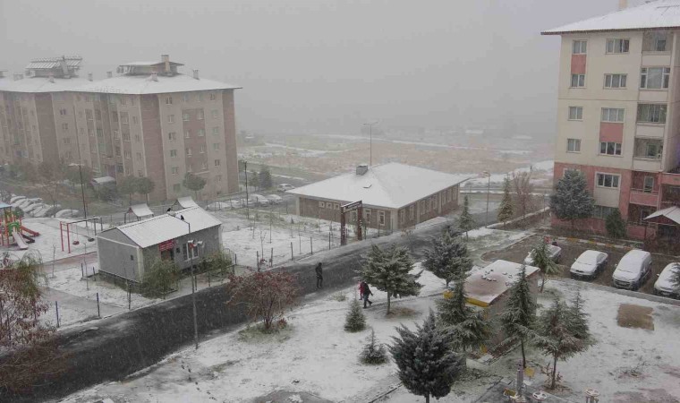 Vanda kar yağışı: 142 yol ulaşıma kapandı, uçaklar rötar yaptı